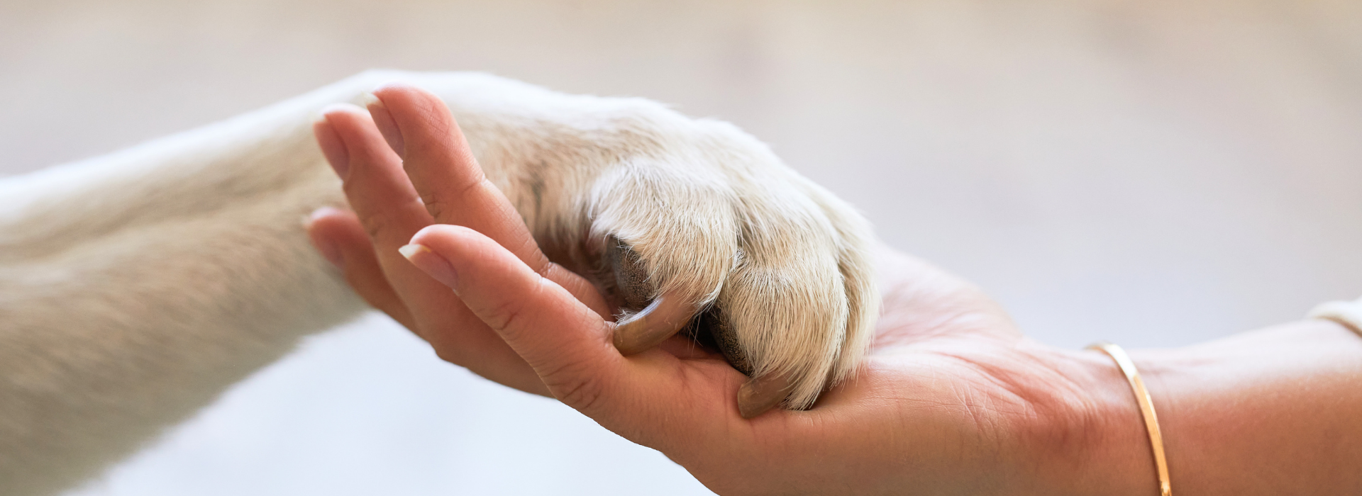 供給・主催・運営を、
ひとつの体制で。